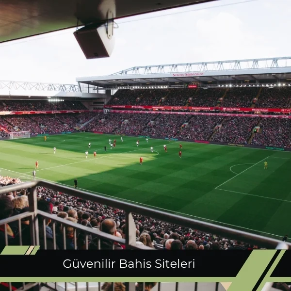 Güvenilir Bahis Siteleri
